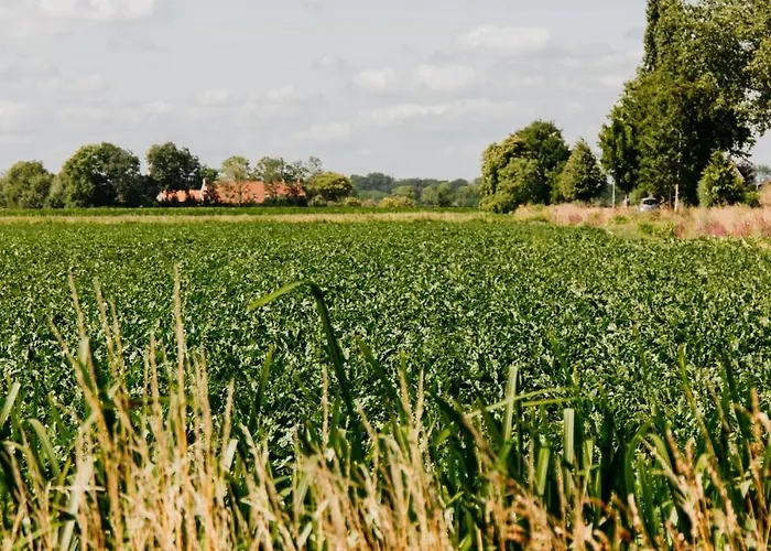 Mus - Design With Hot Tub Lägenhet